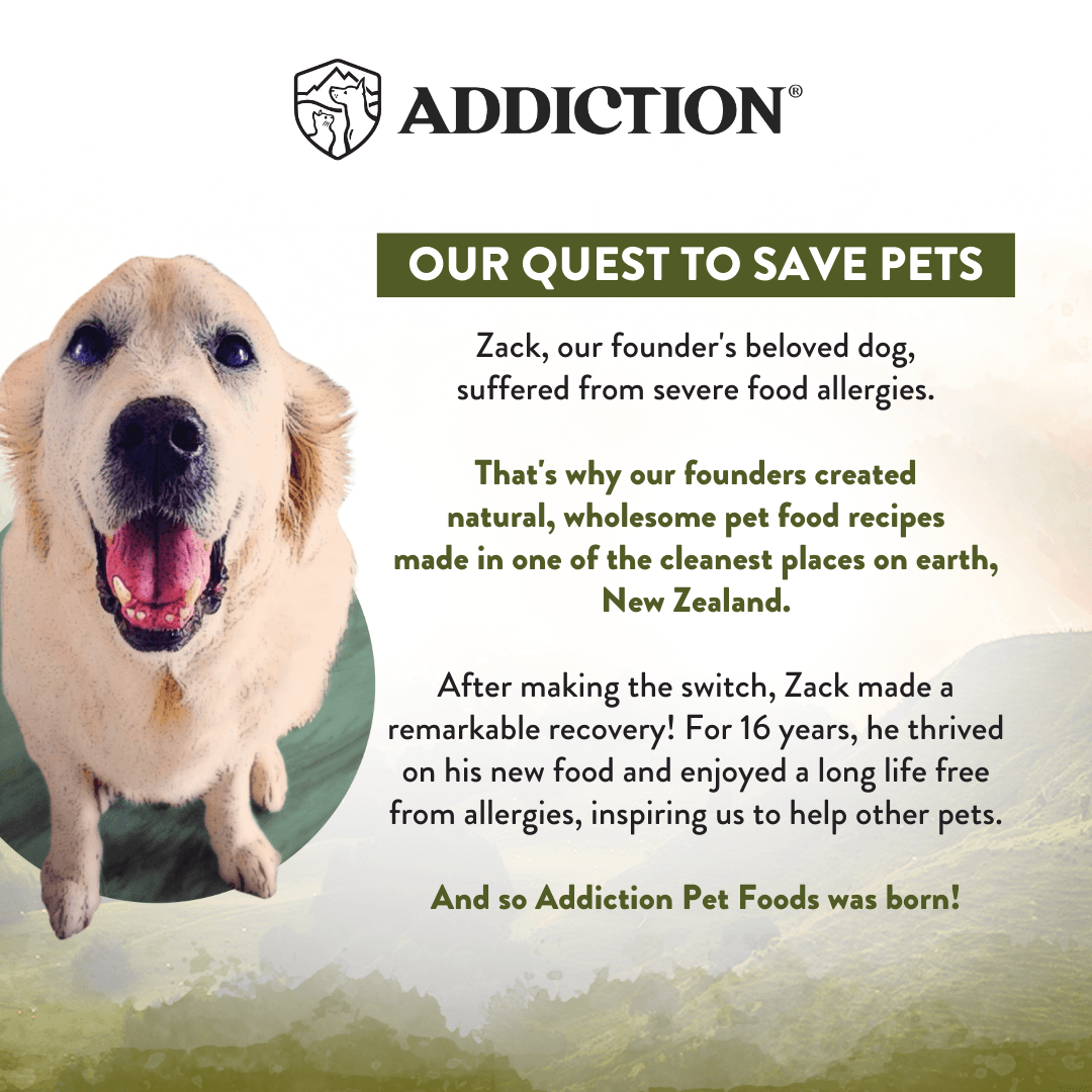 Advertisement for Addiction Pet Foods featuring a dog and text about the brand's mission.