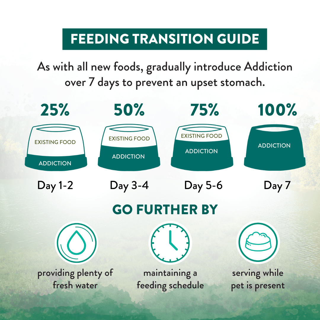 Feeding transition guide for a pet with stages of addiction over 7 days on a green gradient background.