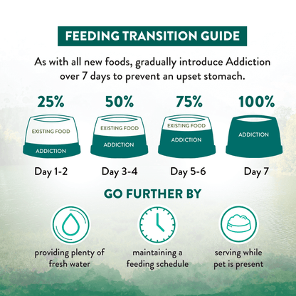 Feeding transition guide for a pet with stages of addiction over 7 days on a green gradient background.