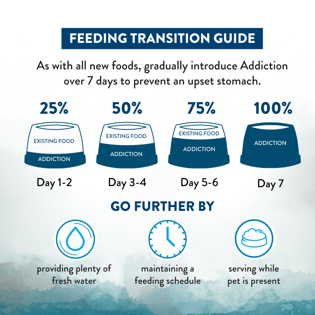 Feeding transition guide for introducing addiction over 7 days with corresponding icons and percentages.