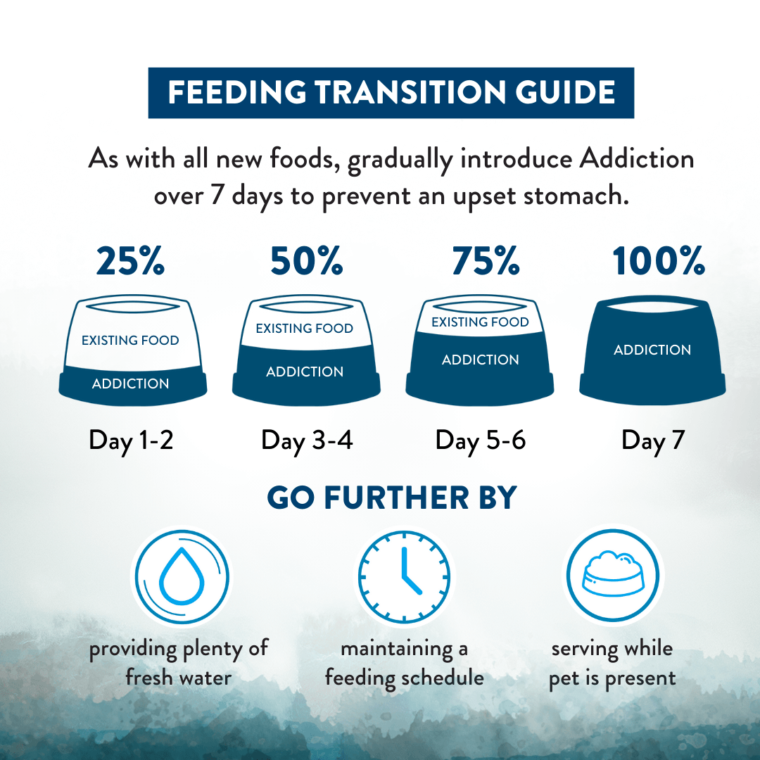 Feeding transition guide for pets with blue containers and text on a white background