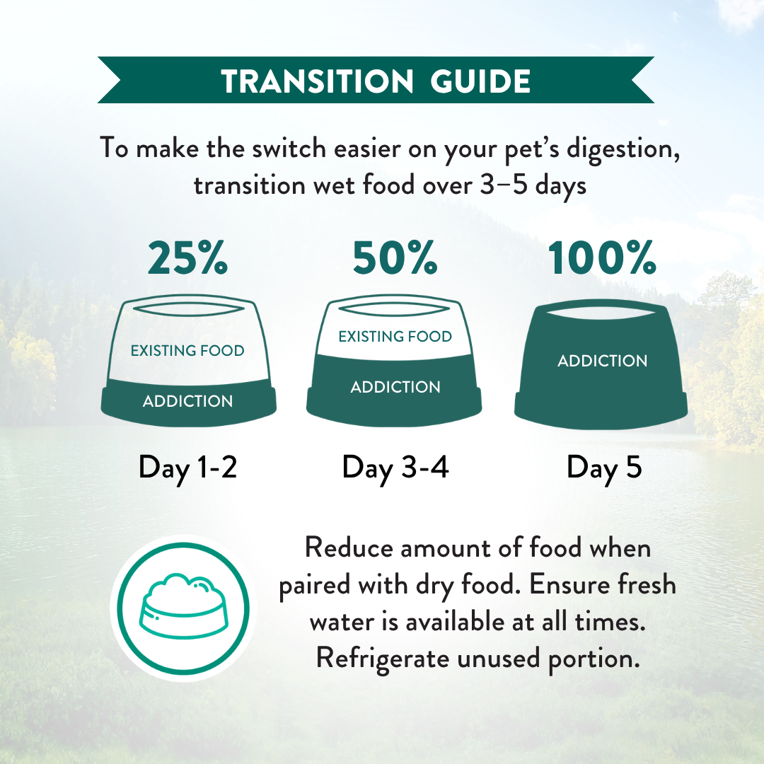 Transition guide for pet food switch with three stages on a light blue background
