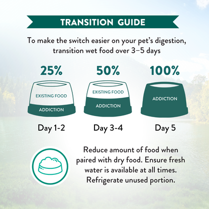 Transition guide for pet food switch with three stages on a light blue background