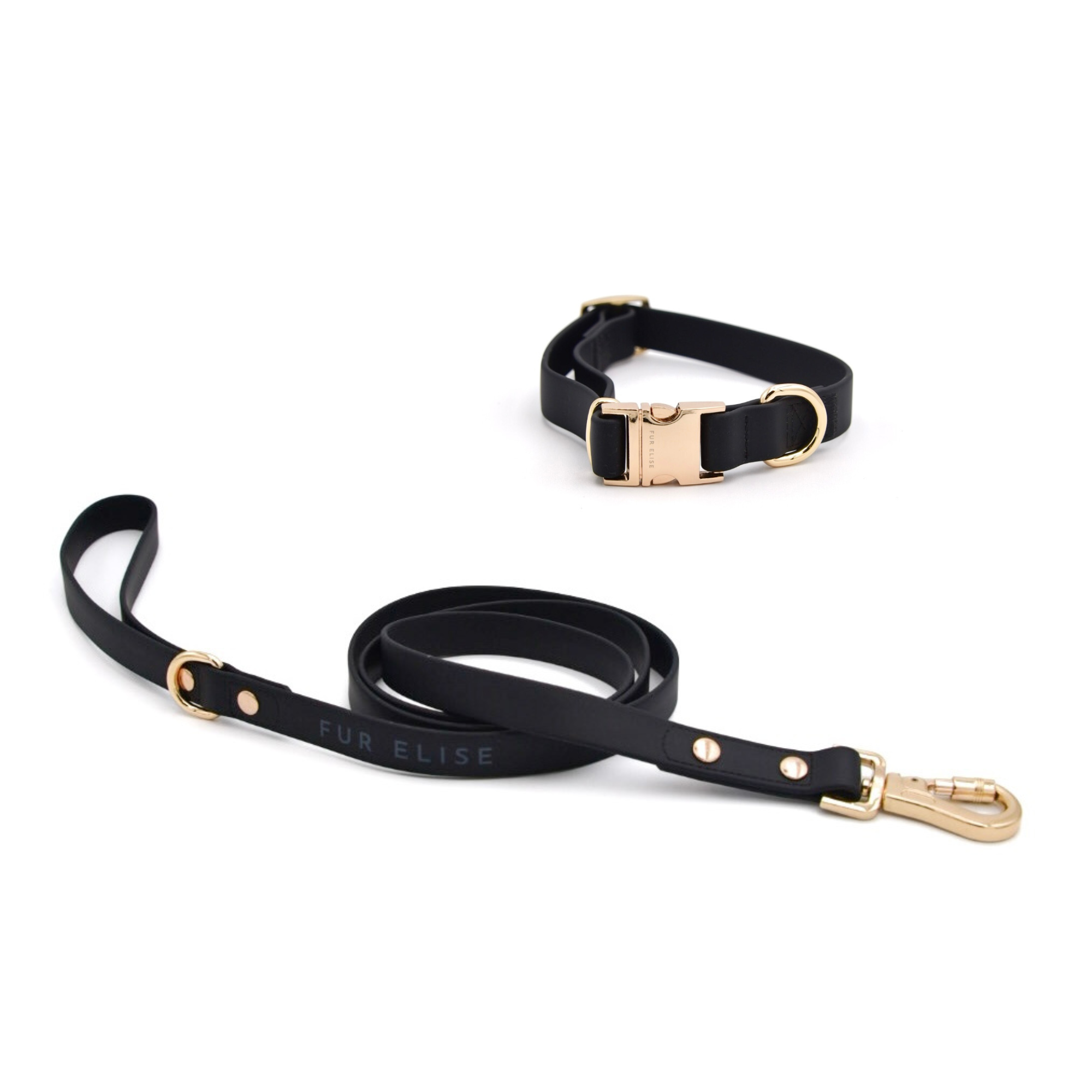 Black dog leash with gold hardware on a white background