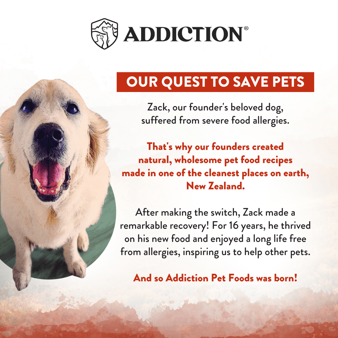 Advertisement for Addiction Pet Foods featuring a dog and text about food allergies and recovery.