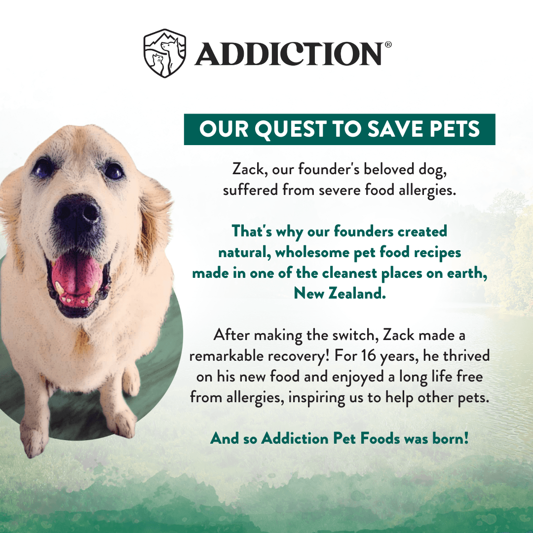 Advertisement for Addiction Pet Foods featuring a dog and text about food allergies and recovery.