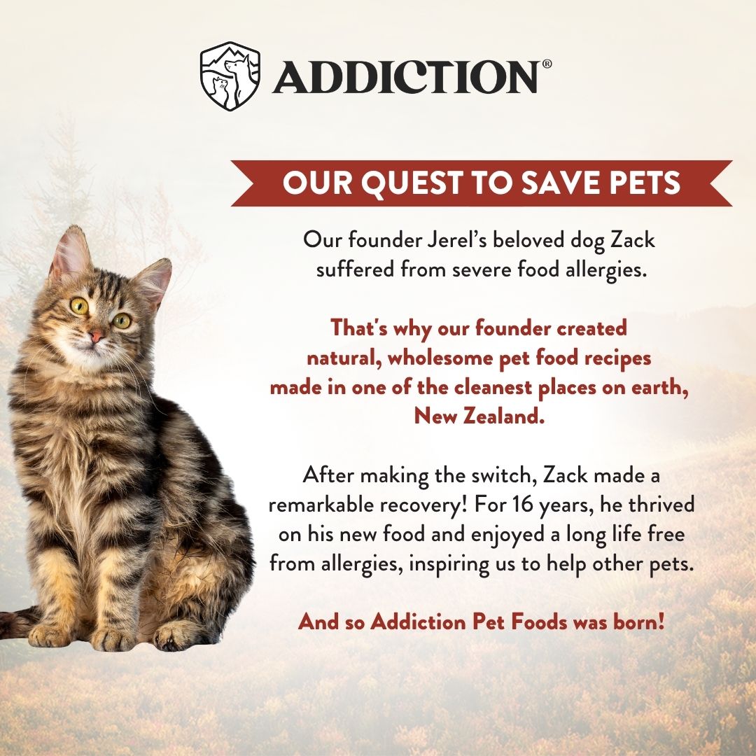 Cat sitting on a textured surface with text about Addiction Pet Foods and their quest to save pets.
