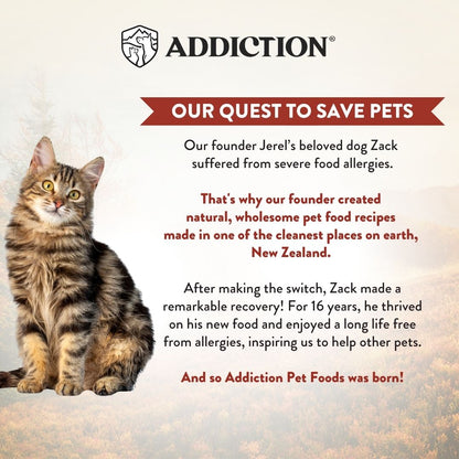 Cat sitting on a textured surface with text about Addiction Pet Foods and their quest to save pets.