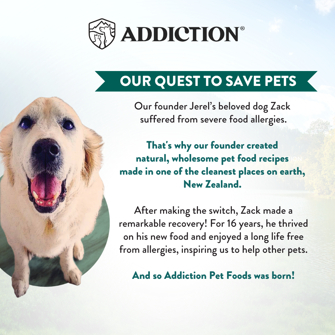 Advertisement for Addiction Pet Foods featuring a happy dog with text about the brand's mission.