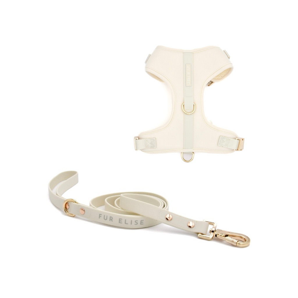 Cream-colored dog harness and leash set with 'FUR ELISE' branding on a white background