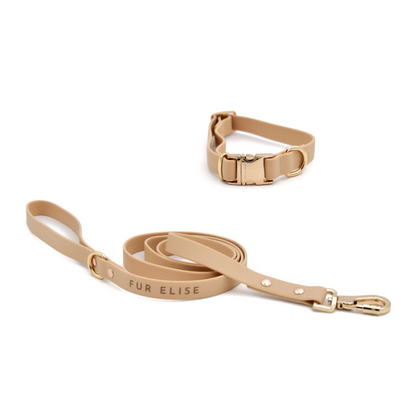 Beige dog collar and leash set on a white background