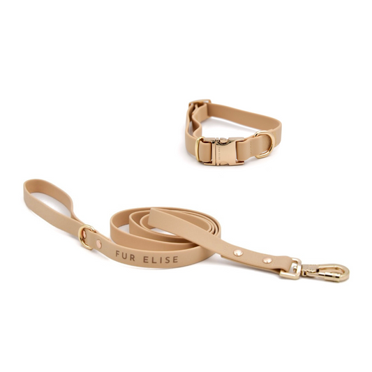 Beige dog collar and leash set on a white background
