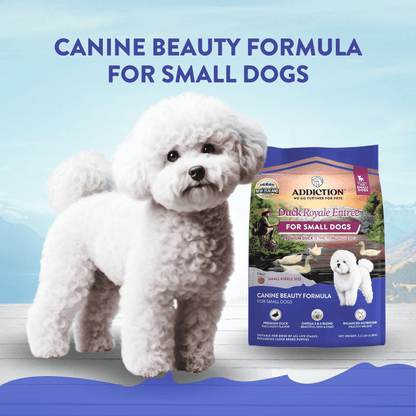 White dog next to a bag of Addiction Duck Royale Entree for Small Dogs on a blue background