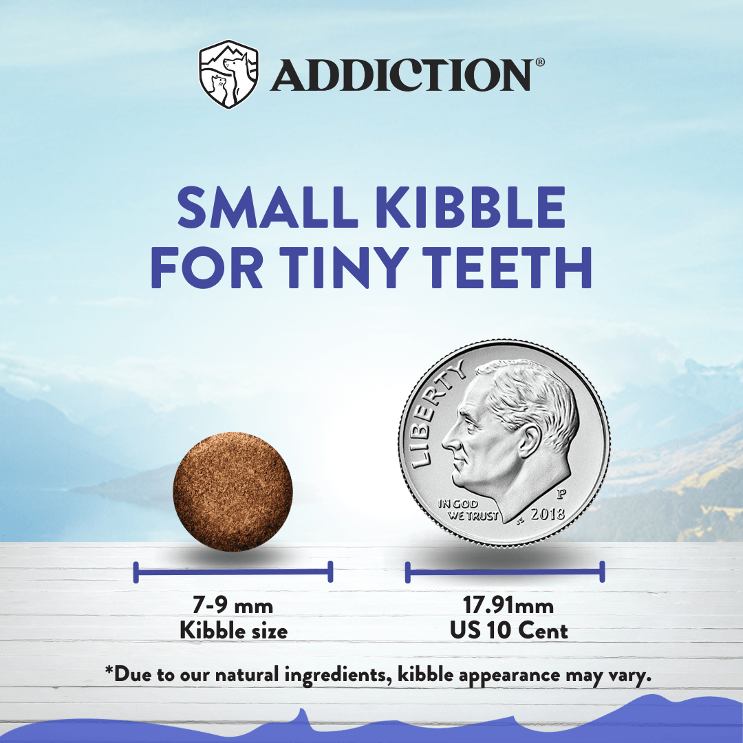 Dog food kibble size comparison with a US quarter coin, labeled 'Addiction' on a light blue background.