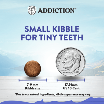 Dog food kibble size comparison with a US quarter coin, labeled 'Addiction' on a light blue background.