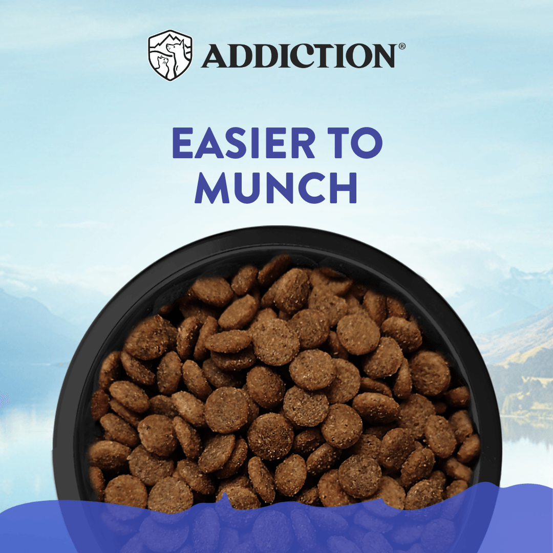 Bowl of dog food with 'Addiction' brand and text 'Easier to Munch' on a blue background