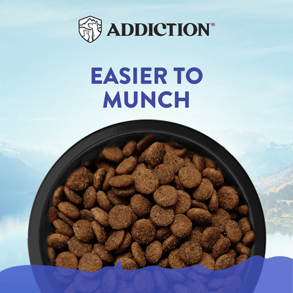 Bowl of dog food with 'Addiction' brand and text 'Easier to Munch' on a blue background