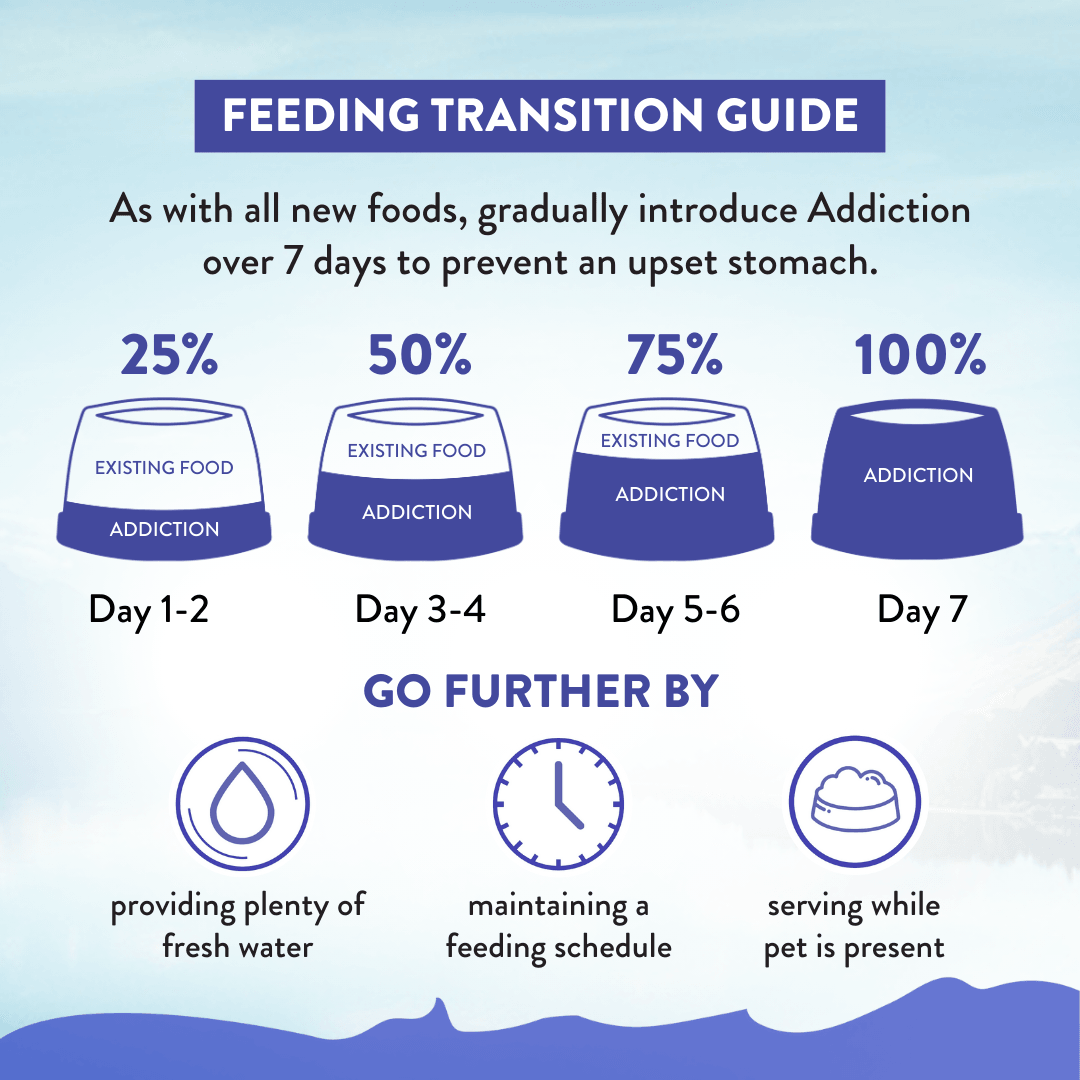 Feeding transition guide for introducing 'Addiction' over 7 days with corresponding percentages and actions.