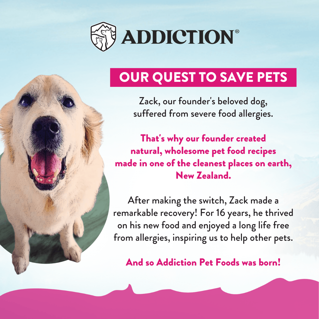 Advertisement for Addiction Pet Foods featuring a happy dog and text about food allergies and recovery.