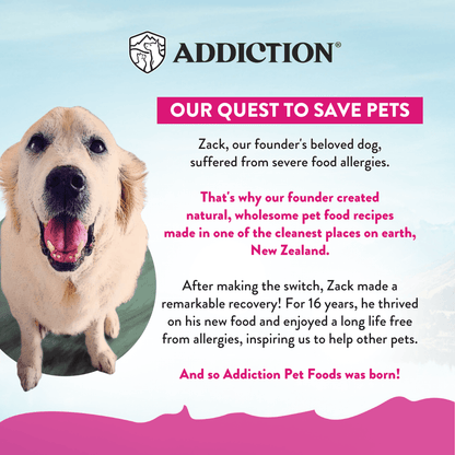Advertisement for Addiction Pet Foods featuring a happy dog and text about food allergies and recovery.