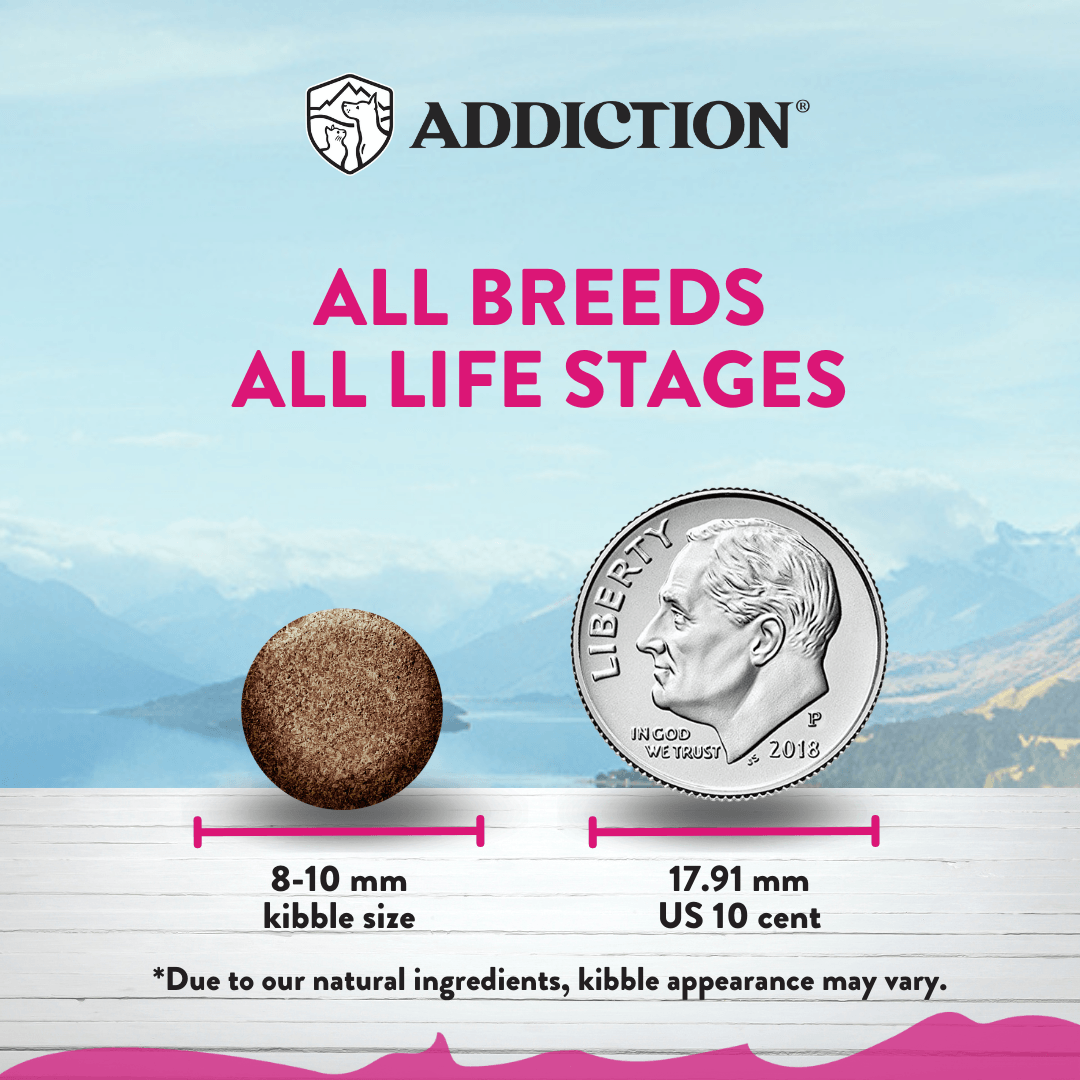 Dog food kibble size comparison with a US coin, labeled 'ADDICTION' on a scenic background.