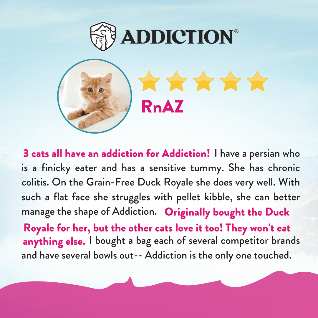 Product review for Addiction cat food with a cat's face icon and text about a cat's dietary needs.