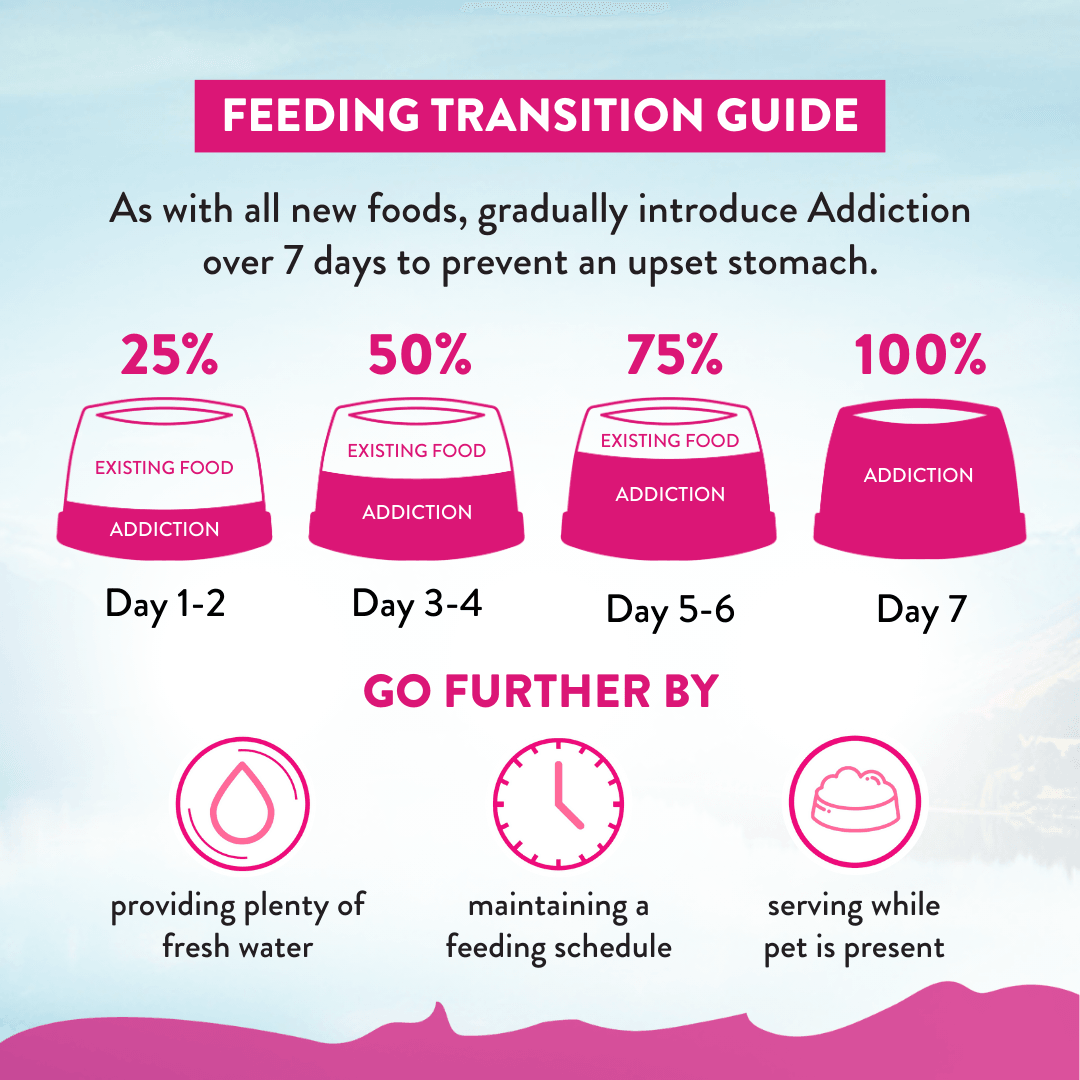 Feeding transition guide for introducing 'Addiction' over 7 days with corresponding actions.
