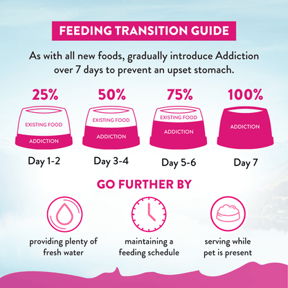 Feeding transition guide for introducing 'Addiction' over 7 days with corresponding actions.