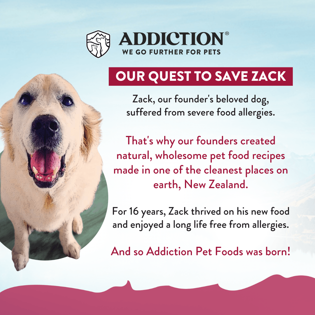 Advertisement for Addiction Pet Foods featuring a dog and text about their founder's experience with pet allergies.