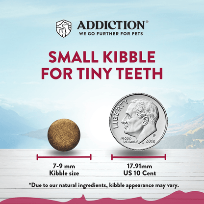 Addiction pet food product with kibble size comparison to a US quarter coin on a light blue background.