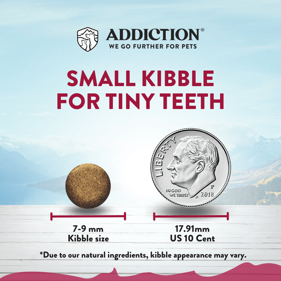 Viva La Venison Small Breed Dog Food & Meaty Bites Treats Bundle package, product photo 3 of 13