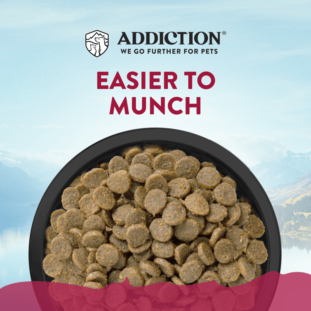 Bowl of pet food with 'Addiction' brand logo and text on a scenic background