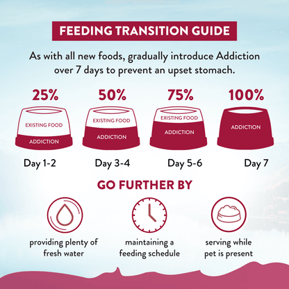 Feeding transition guide for introducing addiction over 7 days with corresponding actions.