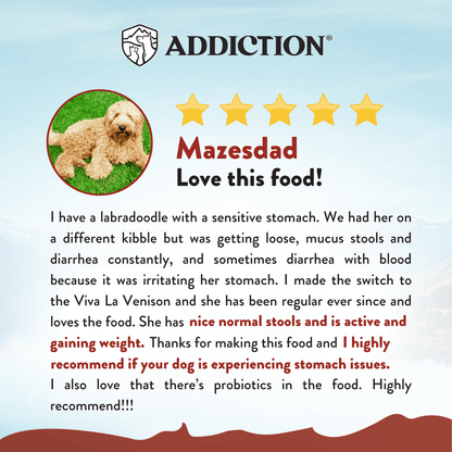 Product review for dog food with a dog's picture and text on a blue background