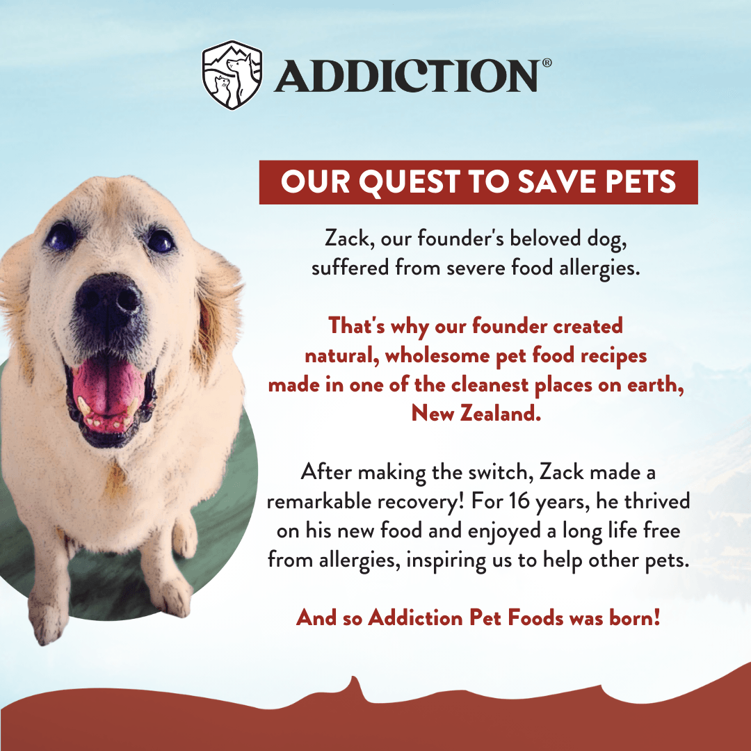Advertisement for Addiction Pet Foods featuring a happy dog and text about food allergies and recovery.
