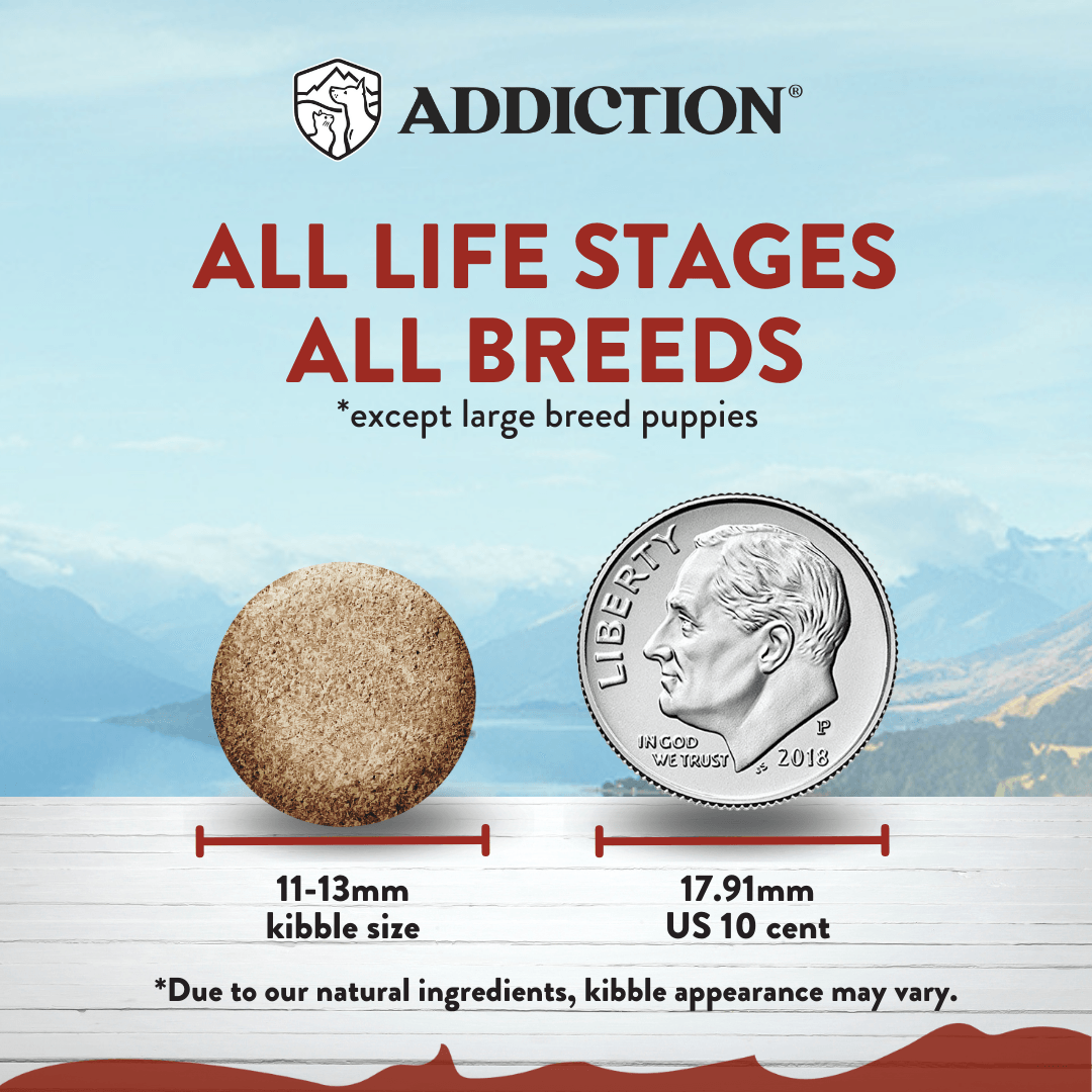 Dog food kibble size comparison with a US coin, labeled 'Addiction' on a scenic background.