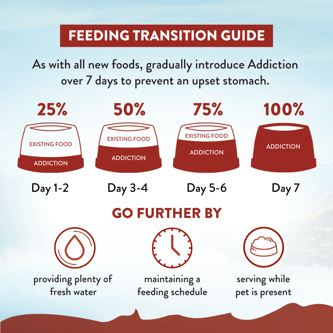 Feeding transition guide for introducing 'Addiction' over 7 days with corresponding actions.