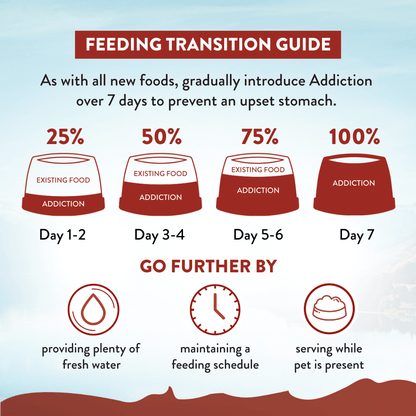 Feeding transition guide for introducing 'Addiction' over 7 days with corresponding actions.