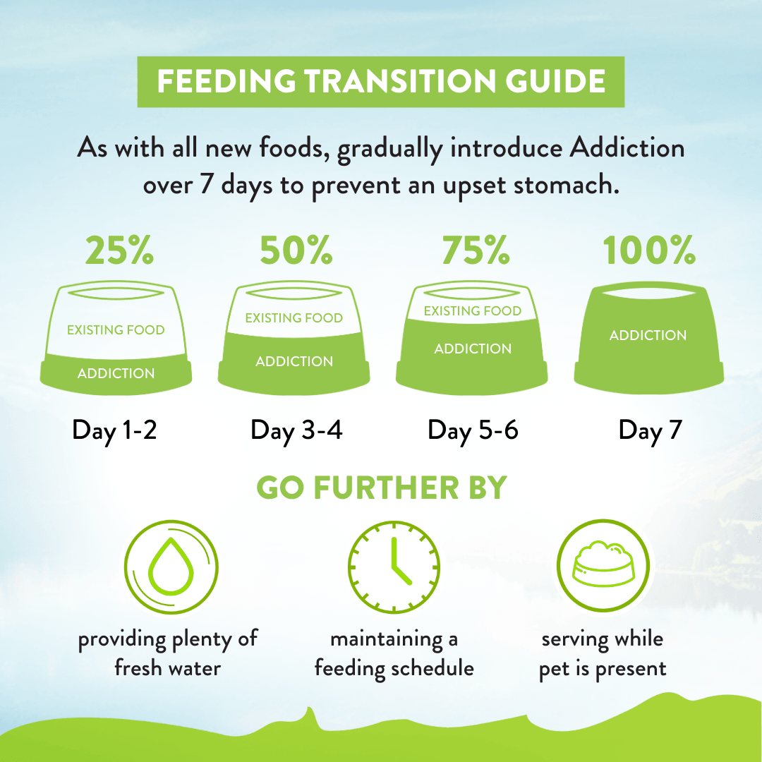 Feeding transition guide for introducing a new food over 7 days with corresponding icons and text.