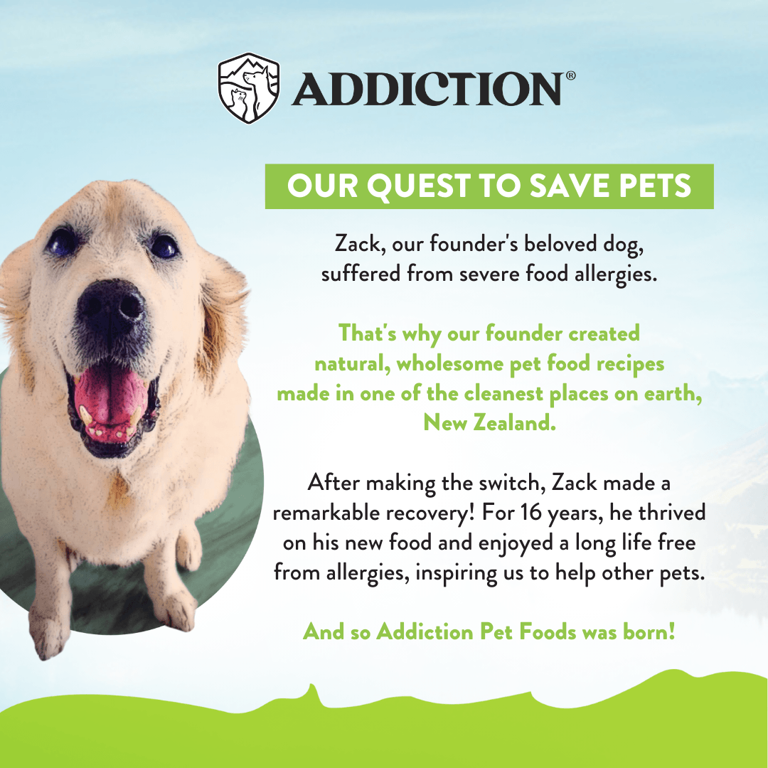 Advertisement for Addiction Pet Foods featuring a happy dog and text about food allergies and recovery.