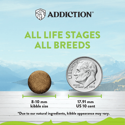 Dog food kibble size comparison with a US quarter coin, labeled 'ADDICTION' on a scenic background.