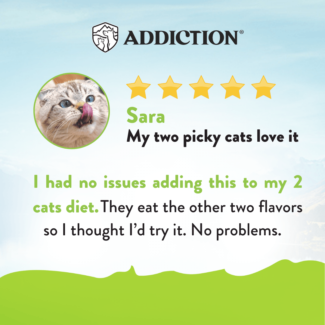 Product review for a cat food brand with a cat's face and text on a light blue background