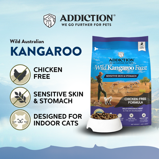 Addiction Wild Kangaroo Feast cat food package with text on a blue background