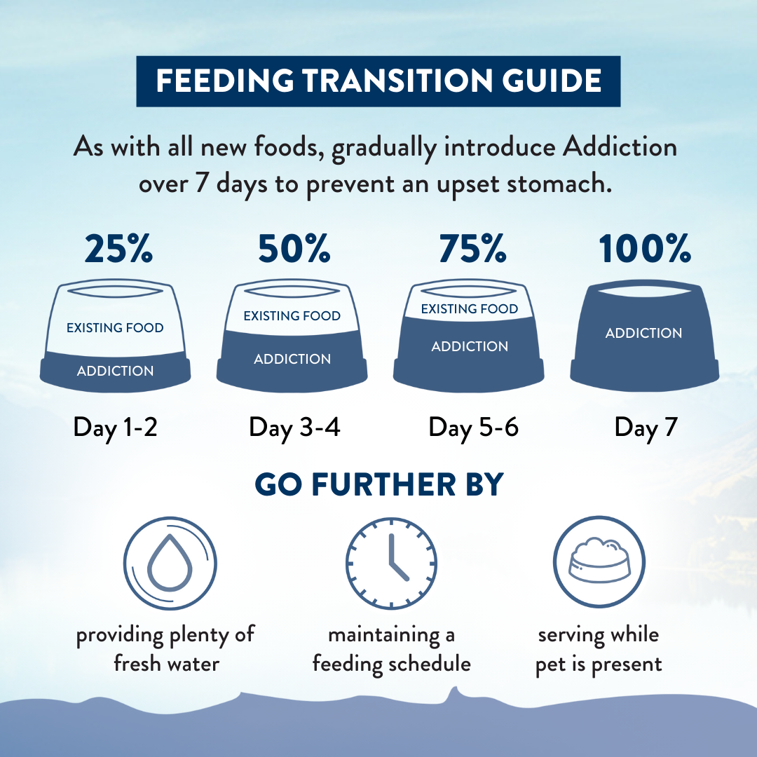 Feeding transition guide for introducing 'Addiction' over 7 days with corresponding actions.