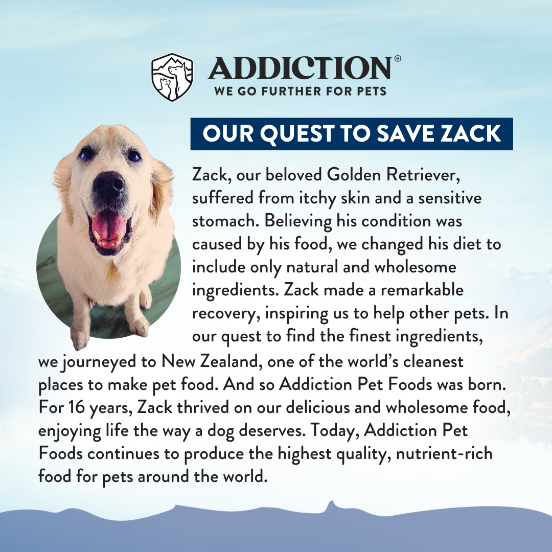 Advertisement for Addiction Pet Foods featuring a Golden Retriever and text about their quest to save Zack.