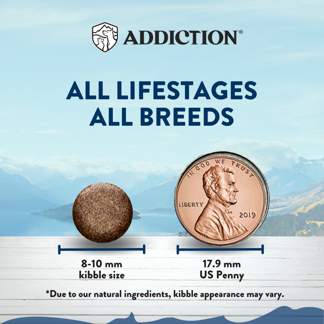 Comparison of kibble size to a US penny with 'Addiction' branding and text about all life stages and breeds.
