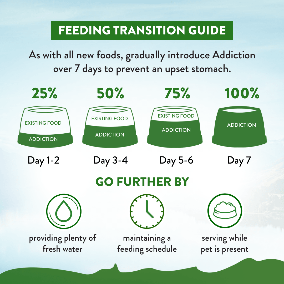 Feeding transition guide for introducing 'Addiction' over 7 days with corresponding stages and advice on a light blue background.