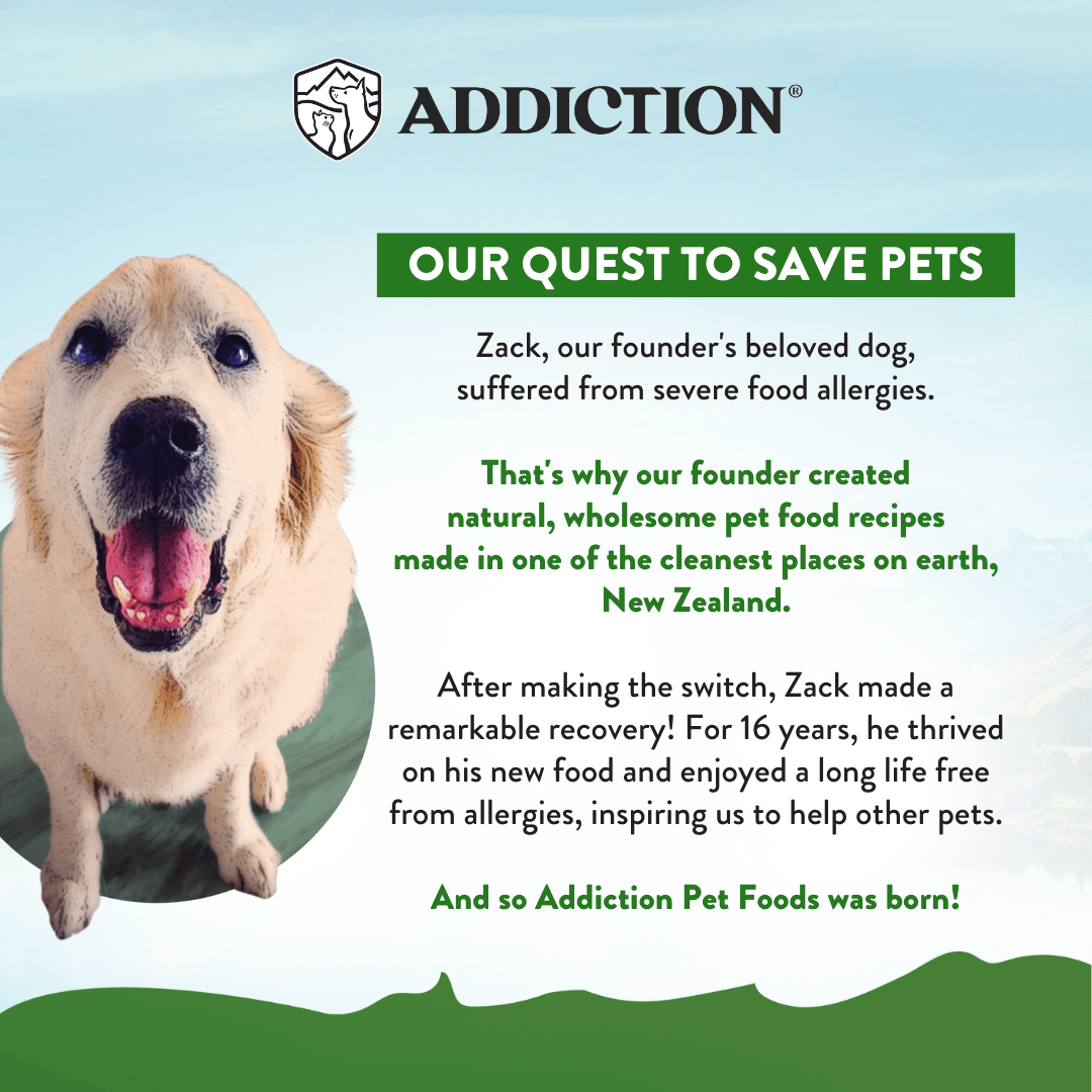 Advertisement for Addiction Pet Foods featuring a dog and text about the brand's mission.