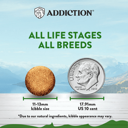 Dog food kibble size comparison with a US quarter coin, labeled 'ADDICTION' on a scenic background.