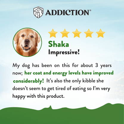 Product review for a dog food product with a dog's face and text on a blue and green background.